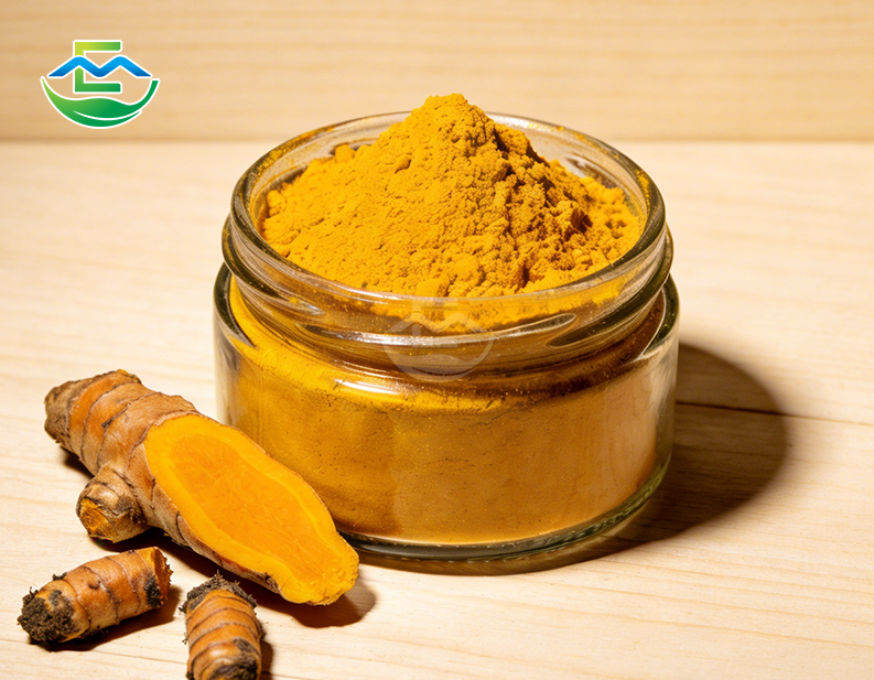 Turmeric Extract 95% Curcuminoids